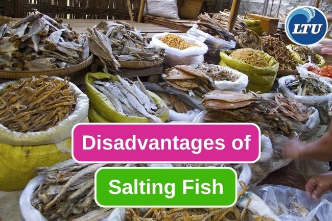 5 Weakness Of Salting Methods On Fish Preservation